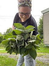 2023-08-18_13-24-58_866 (2).jpeg