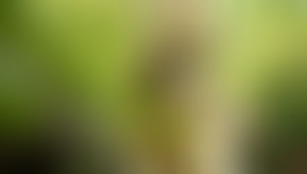 10月 家族で挙げる三嶋大社結婚式・楽寿園にて前撮り撮影