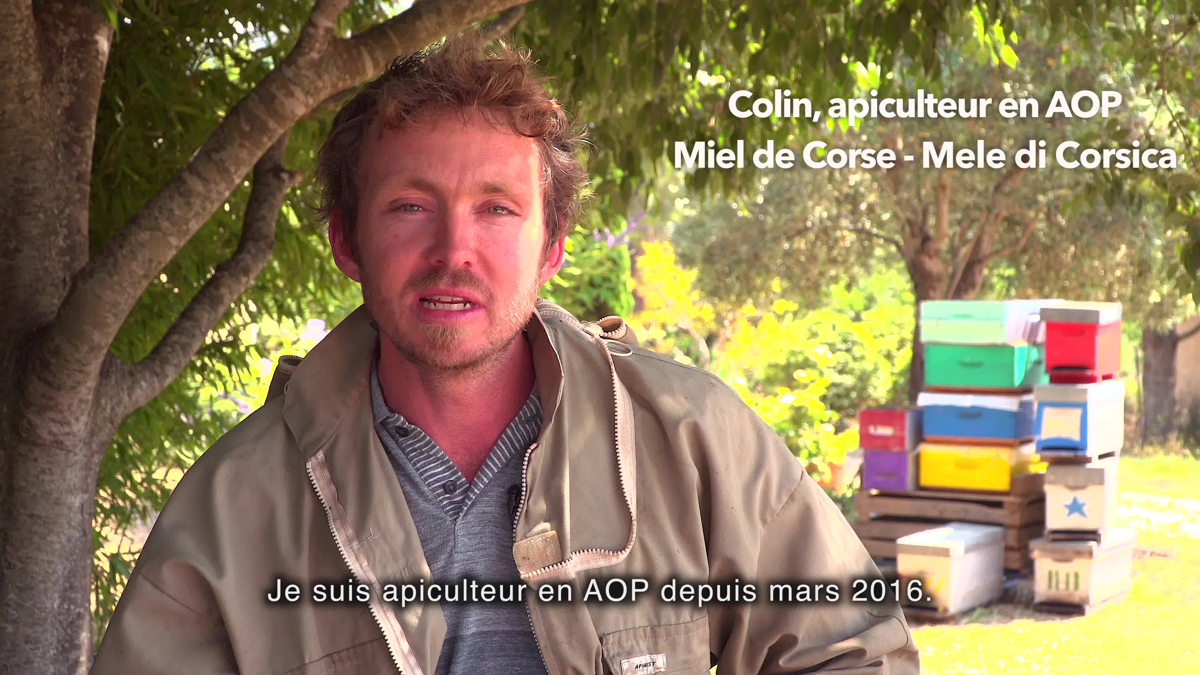 Portrait d'apiculteur en AOP Miel de Corse - Mele di Corsica : Colin DUPRE, apiculteur à Calenzana