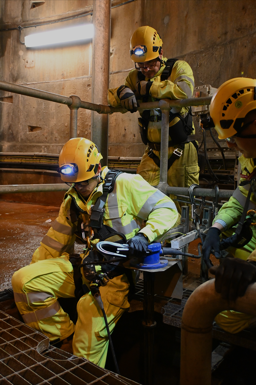 Untitled design (66).png