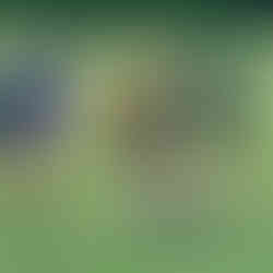 Rugby player training