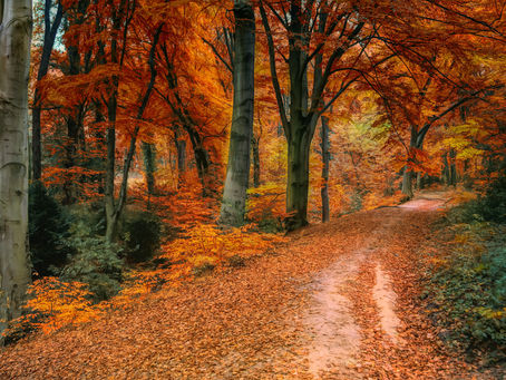 The Gift of Gratitude