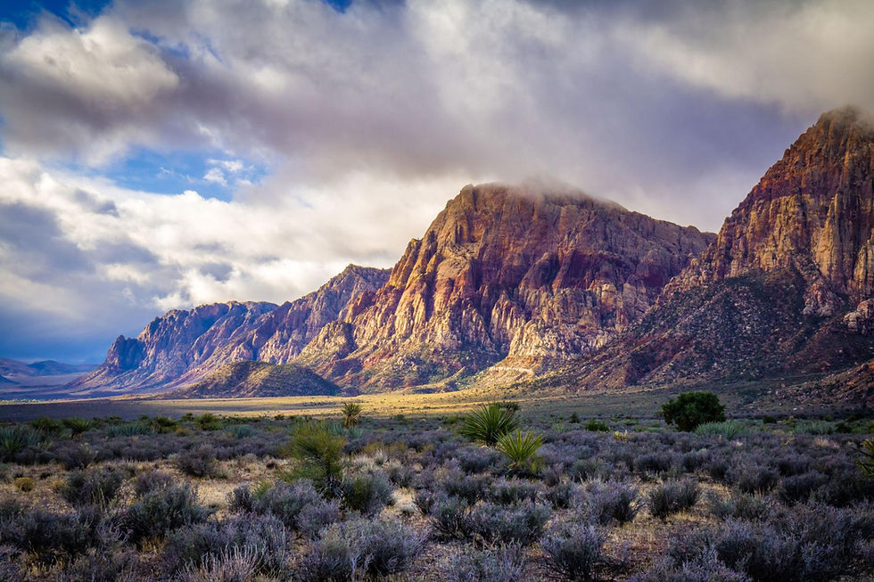 Red Rock Canyon National Conservation Area, Nevada