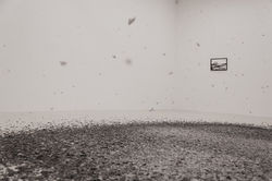 Carla Chan. snow2-p-low