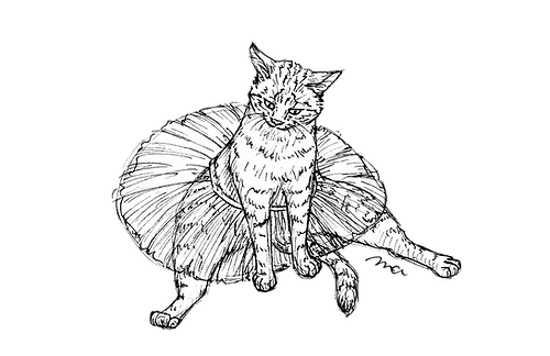 バレリーナ猫