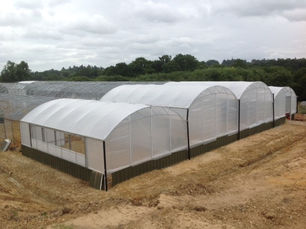 Case Study - Building a Protected Environment for Endangered Parrots