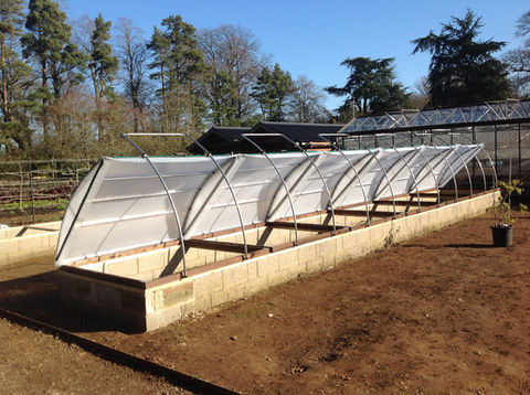 Multiple Coldframes on raised bed at National Trust Hidcote