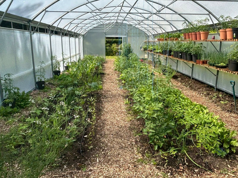 Case Study - Faldonside Eco: Regenerating Land and Growing the Future with Keder Greenhouse