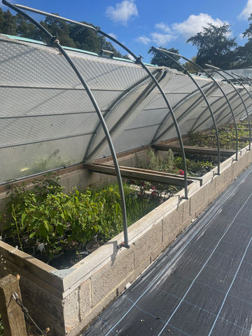 Multiple Coldframes on raised bed at National Trust Hidcote