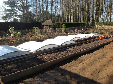 Multiple Coldframes on raised bed at National Trust Hidcote