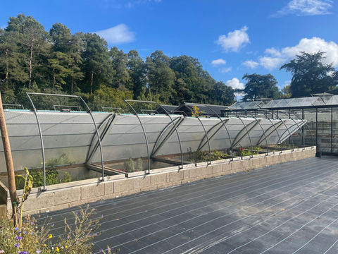 Multiple Coldframes on raised bed at National Trust Hidcote