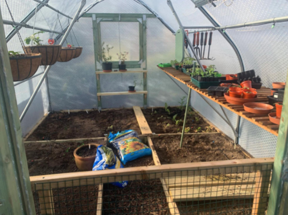 Garry and Kates Greenhouse