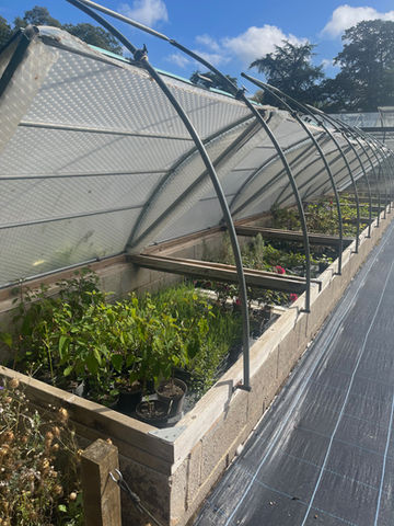 Multiple Coldframes on raised bed at National Trust Hidcote