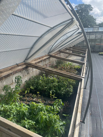 Multiple Coldframes on raised bed at National Trust Hidcote