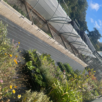 Multiple Coldframes on raised bed at National Trust Hidcote