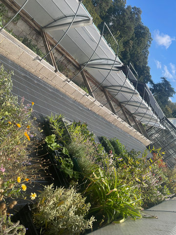 Multiple Coldframes on raised bed at National Trust Hidcote