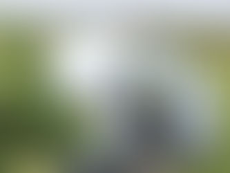 Caring for Your Keder Greenhouse