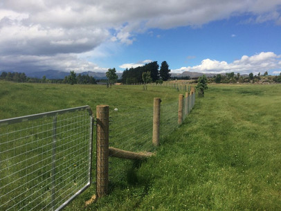 X fence-3264x2448-936w.jpeg