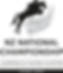 NZNationals_1996_Logo.png