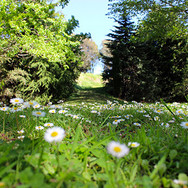 img_0125.jpeg