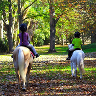 garden-photo-with-horses.jpeg