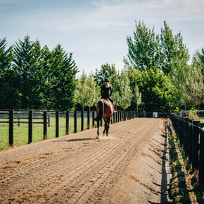 Screen Shot 2023-03-16 at 10.49.13 AM.png