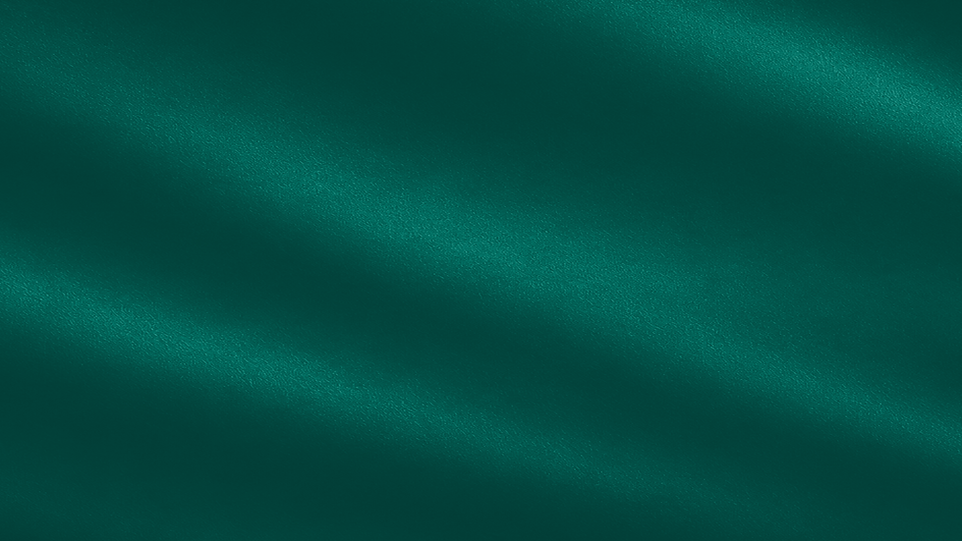DS-GreenBanner.png