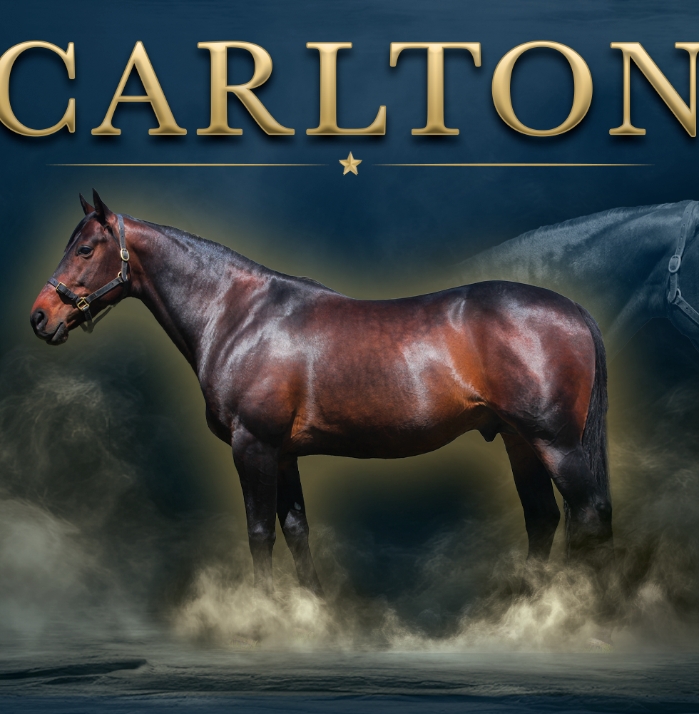 CARLTON.png