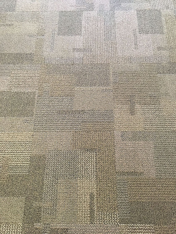 Carpet_of_a_school.jpg