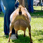 one-love-udder-grand-24_orig.jpg