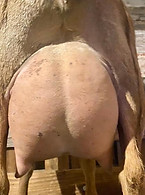 485155152_1190135262906743_7195534118763169067_n (1).jpg