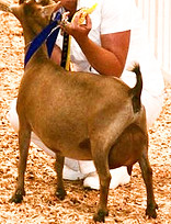 66979030_2370214856357465_38468102219890688_n_edited.jpg
