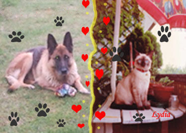 Dott.ssa Lydia - Gli inseparabili amici 4 zampe