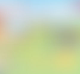 Mangiare vegetariano