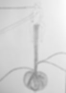 TABVLA PRIMA (details)