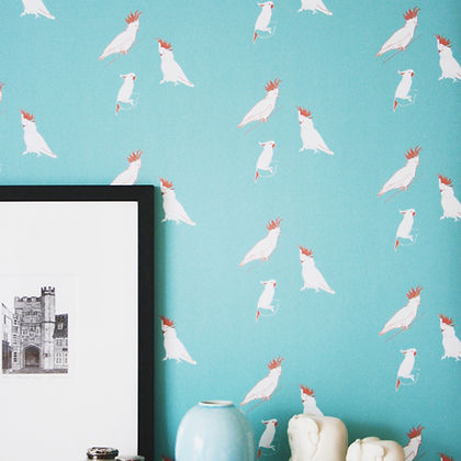 KM-AS0002-Kooky Cockatoos-3.JPG