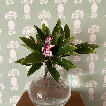 KM-Chardon-Marie Wallpaper in Mint colourway.jpg