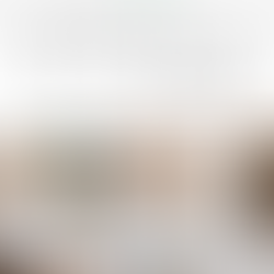 10 Sustainable Kitchen Brands: Upgrade Your Cooking Space