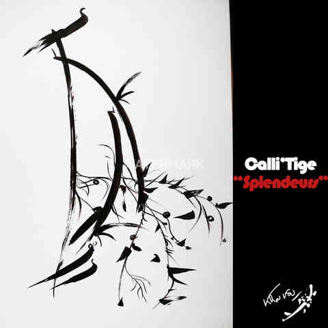 Calli'Tige "Splendeurs"