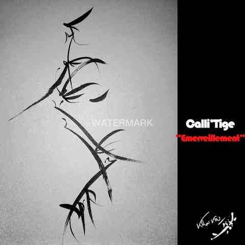 Calli'Tige "Émerveillement"