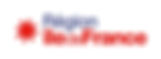 LOGO_RIDF_2019_WEB.jpg