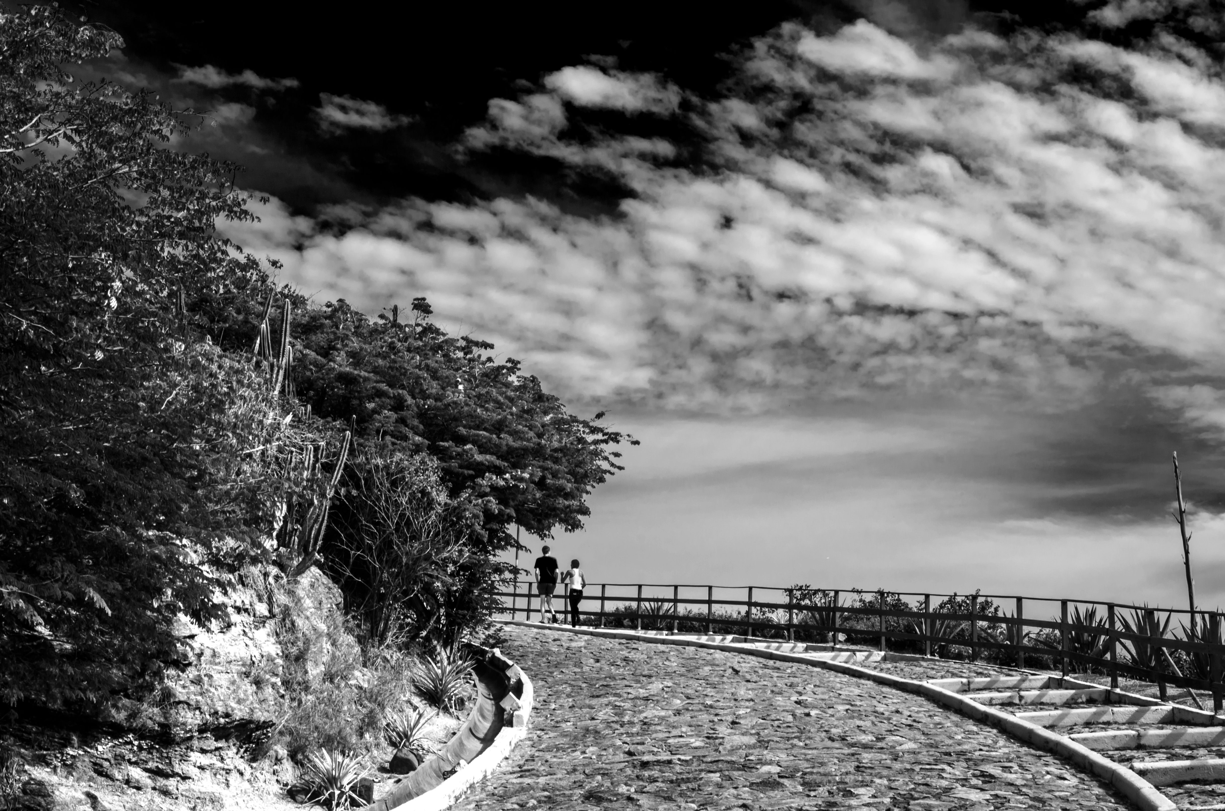 Quadro Curvas da Vida - Life Curves Picture by Kcris Ramos