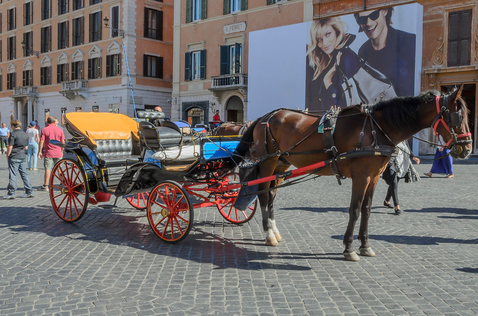 Quadro Passeando por Roma - Picture Walking around Rome by Kcris Ramos
