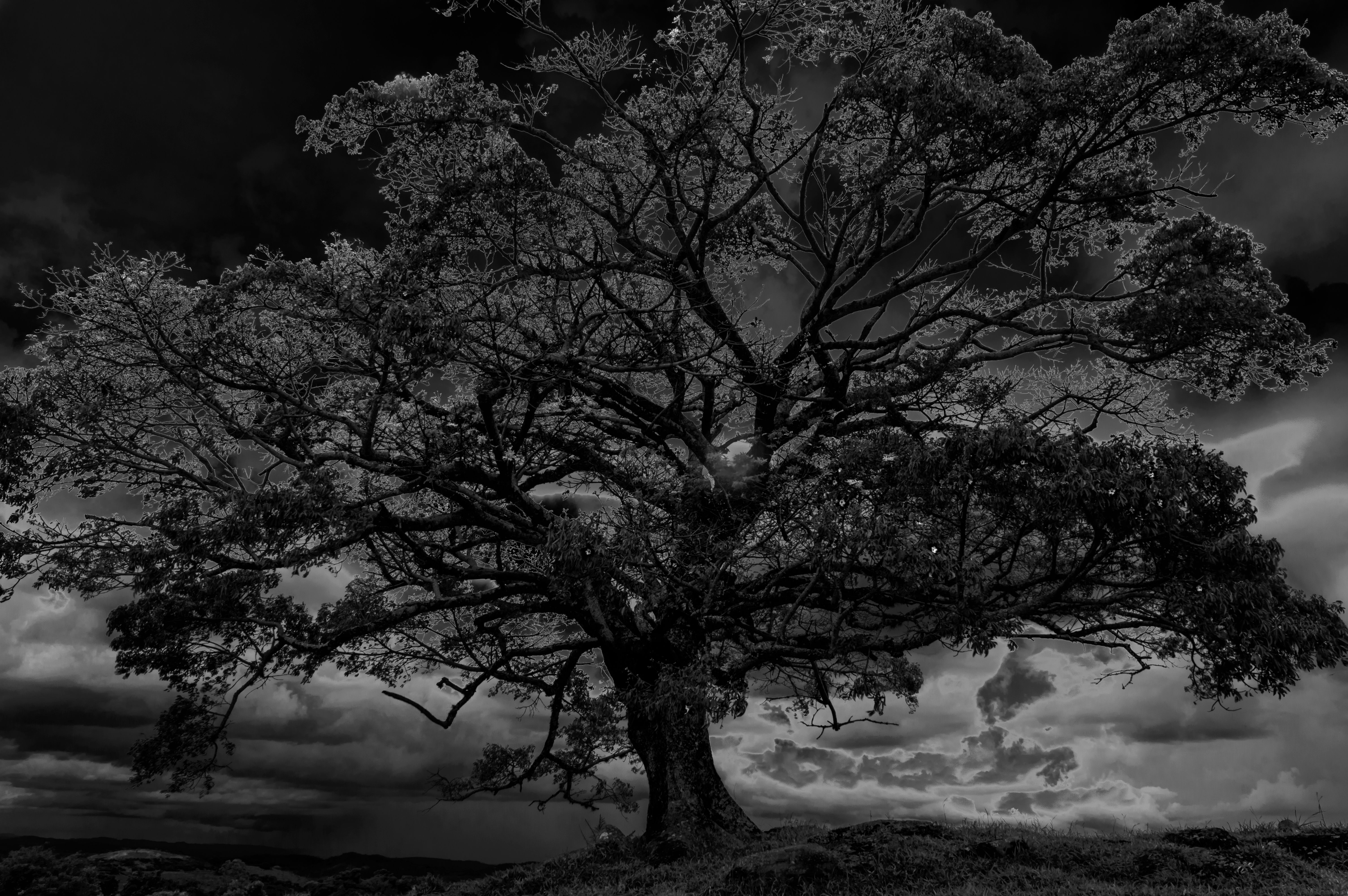 Quadro Mãe de Todas - Picture Motherboard of All by Kcris Ramos
