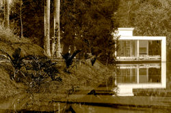 Fine art Casa da arte - house of art