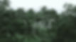 baka1-final.jpg