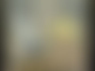 「鵺(ぬえ)の棲む森」について
