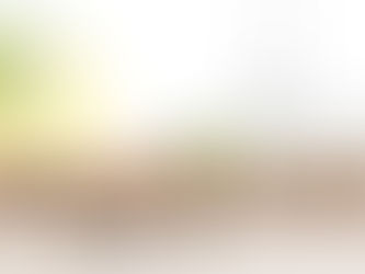 Health Versus Wellness: What's the Difference?