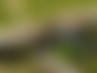 A Real-life, Solar-Powered Chain Saw