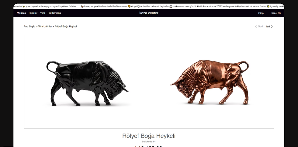 WIX websitesi geliştirici